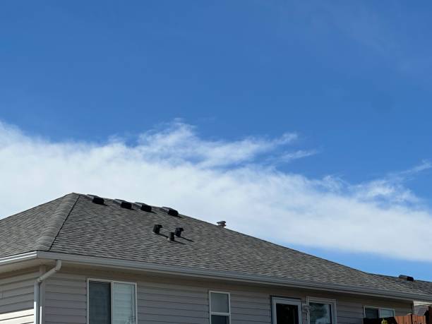 Best Roof Maintenance and Cleaning  in Brookings, OR